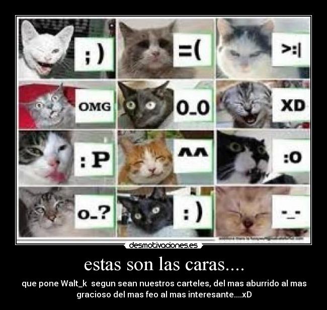 estas son las caras.... - que pone Walt_k segun sean nuestros carteles, del mas aburrido al mas
gracioso del mas feo al mas interesante....xD