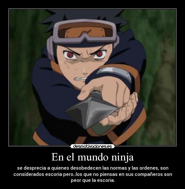 En el mundo ninja -