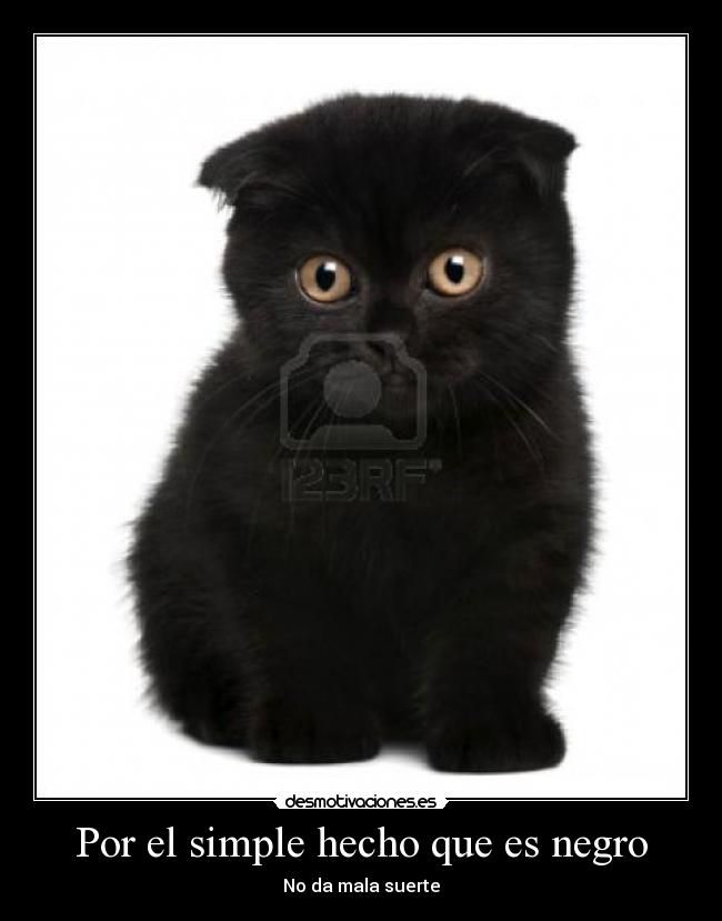 Por el simple hecho que es negro - 