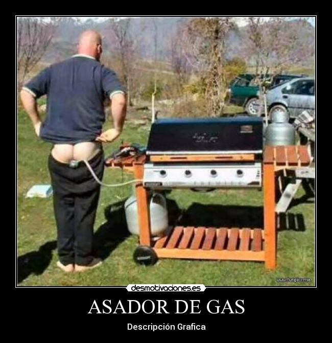 ASADOR DE GAS - Descripción Grafica