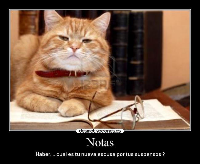 Notas - Haber.... cual es tu nueva escusa por tus suspensos ?