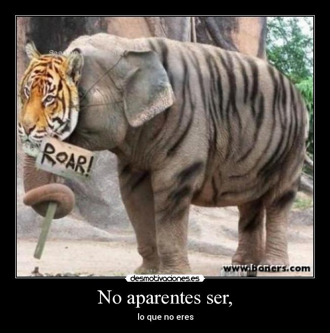 No aparentes ser, - 