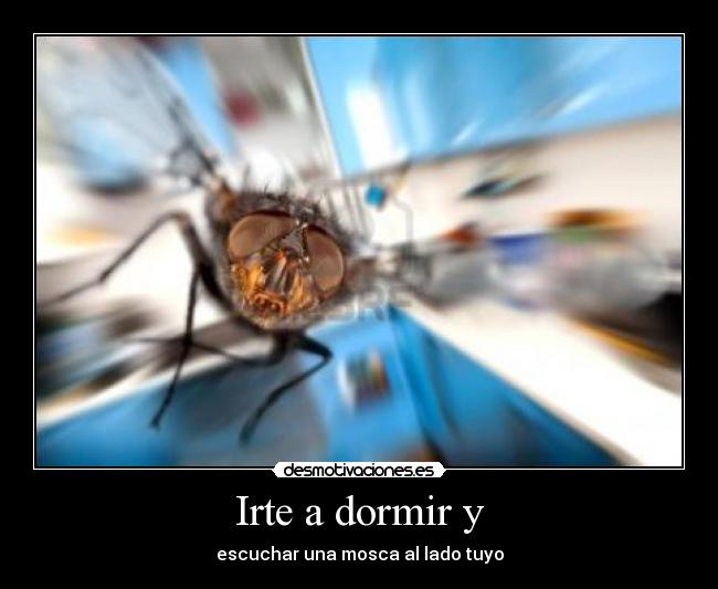 Irte a dormir y - 
