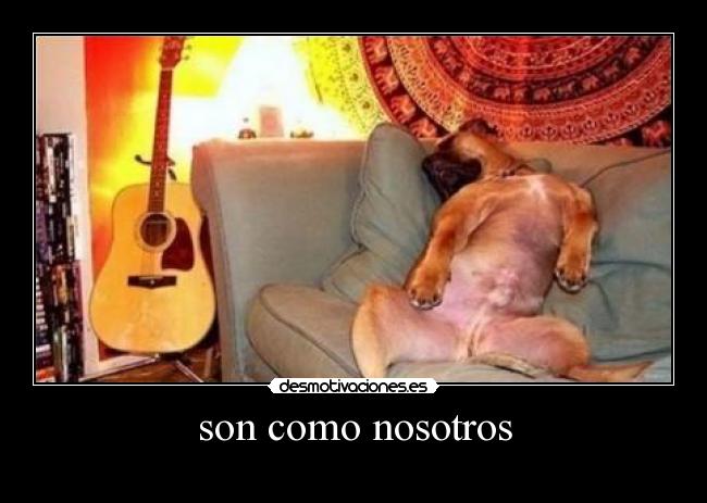 son como nosotros - 