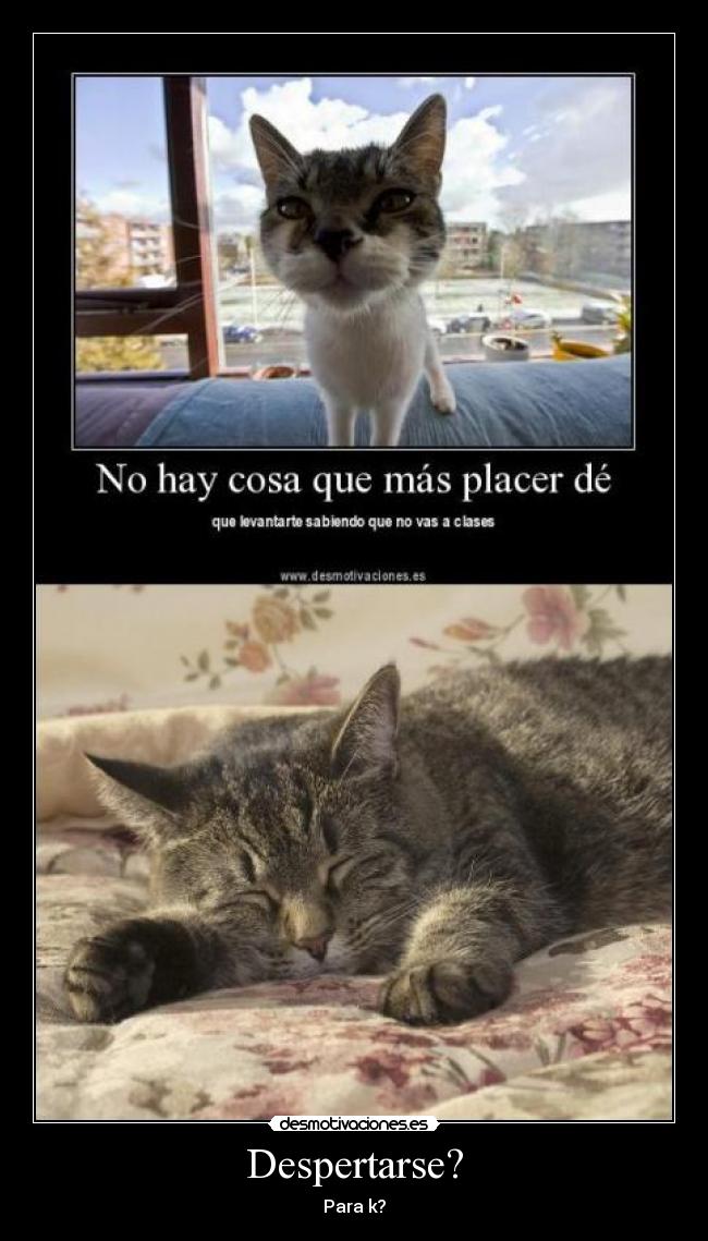 Despertarse? - Para k?