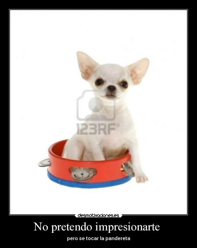 No pretendo impresionarte -