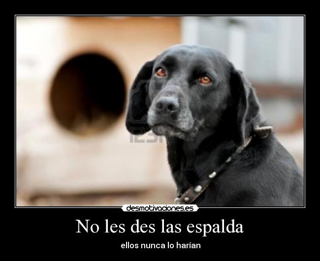 No les des las espalda -