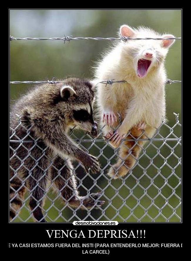 carteles spandctral desmotivaciones