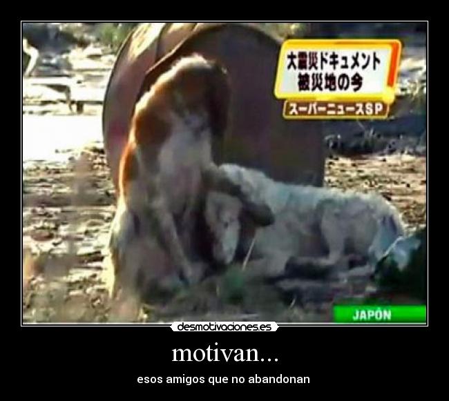 motivan... -