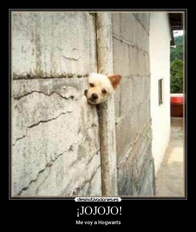 ¡JOJOJO! -
