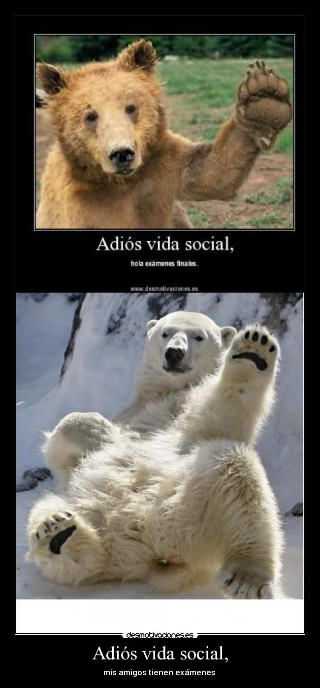 Adiós vida social, - mis amigos tienen exámenes 