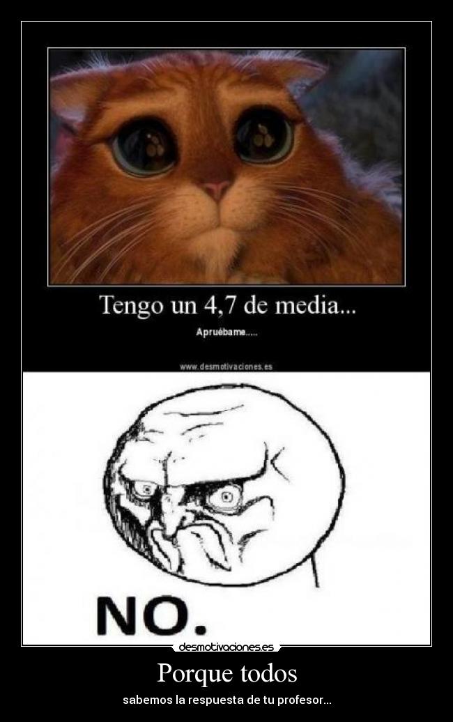 Porque todos - sabemos la respuesta de tu profesor...