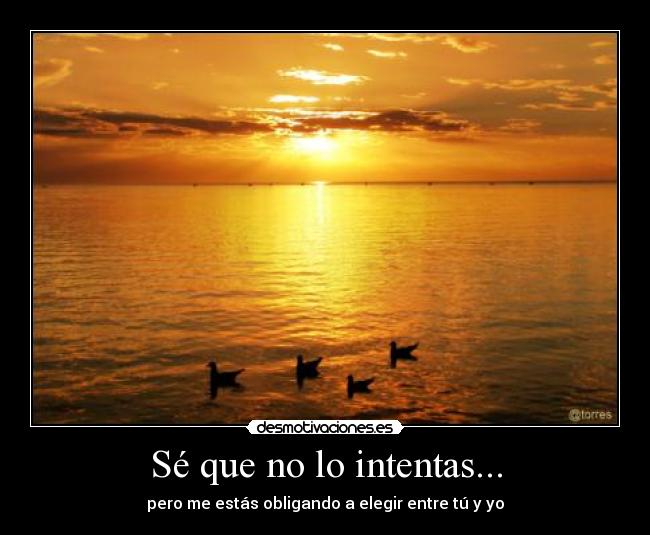 Sé que no lo intentas... -