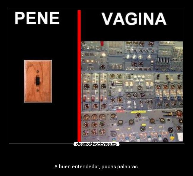 Pene Y Vagina Imagenes 73