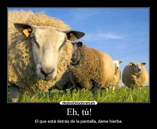 Eh, tú! - El que está detrás de la pantalla, dame hierba.