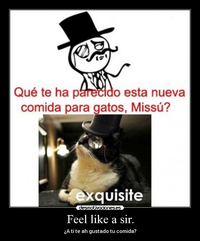 carteles feel like sir desmotivaciones