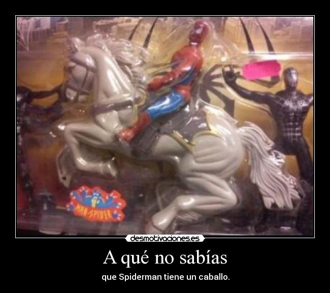carteles spiderman caballo desconocer desmotivaciones