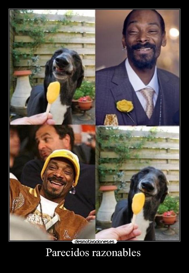 Parecidos razonables  - 