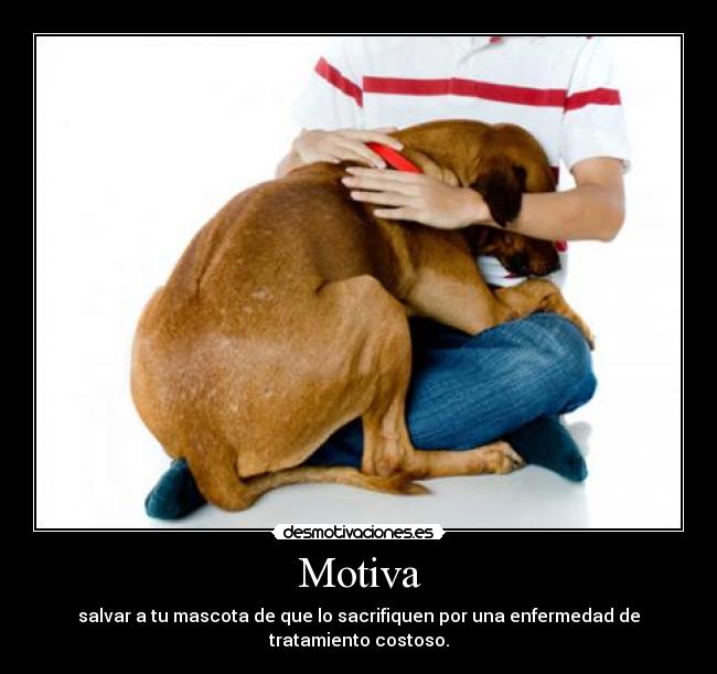Motiva - salvar a tu mascota de que lo sacrifiquen por una enfermedad de tratamiento costoso.