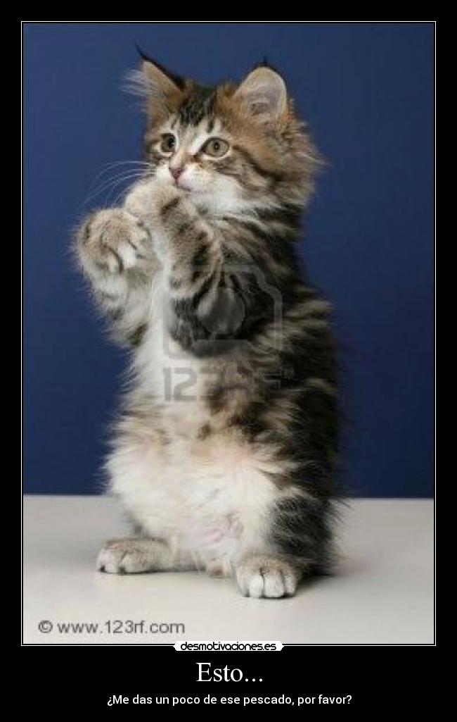 Esto... - ¿Me das un poco de ese pescado, por favor?