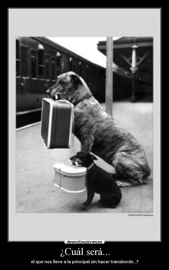 carteles principal desmotivaciones