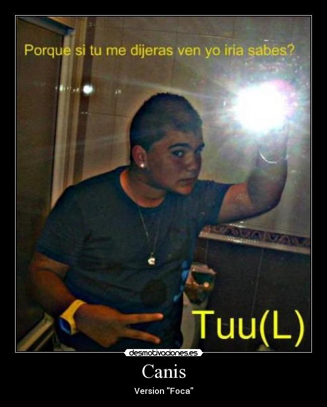 Canis - Version Foca