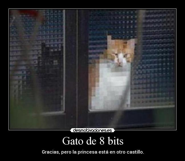 Gato de 8 bits -