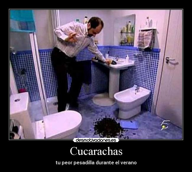 carteles cucarachas desmotivaciones