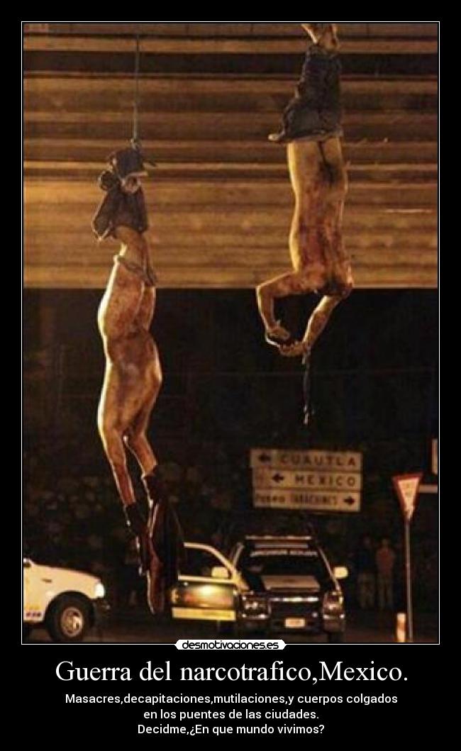 carteles guerra narco desmotivaciones