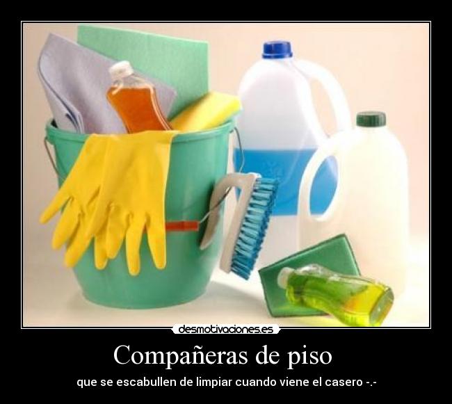 Compañeras de piso - que se escabullen de limpiar cuando viene el casero -.-