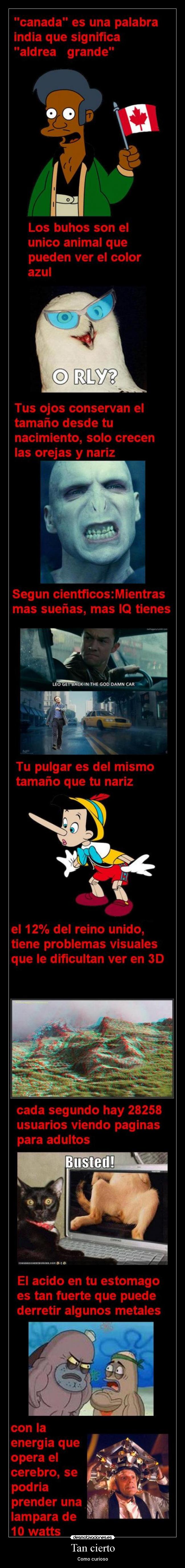 Tan cierto - Como curioso