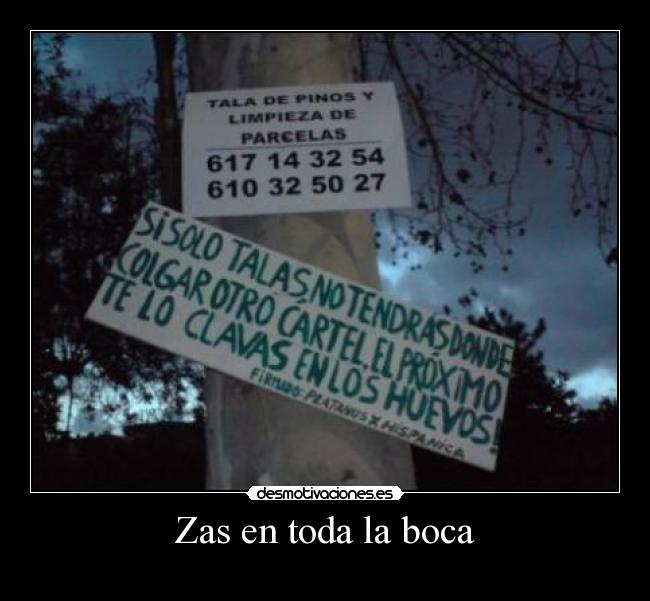 Zas en toda la boca -
