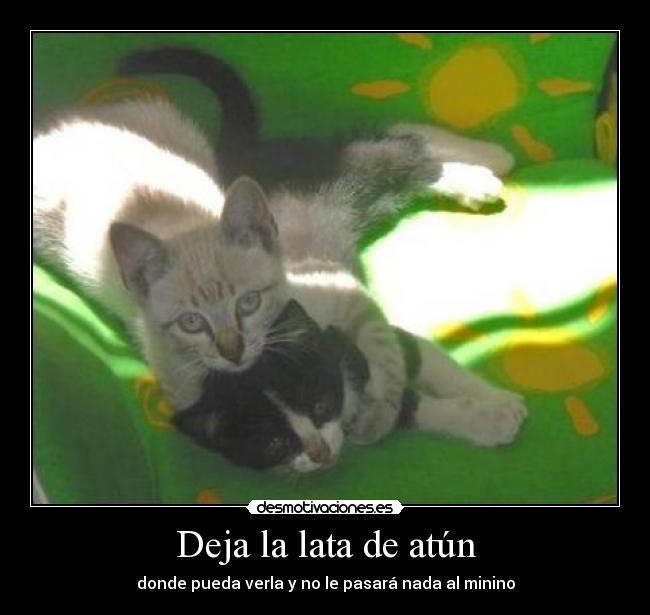 Deja la lata de atún - 