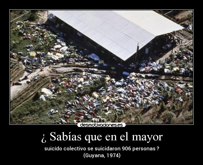 ¿ Sabías que en el mayor -