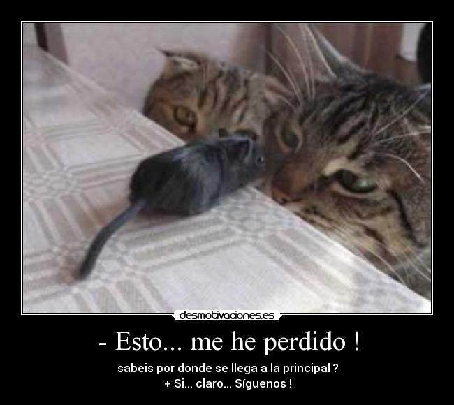 - Esto... me he perdido ! - 