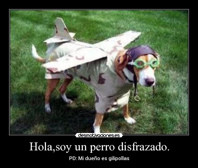 carteles perro desmotivaciones