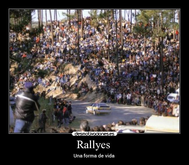 Rallyes -