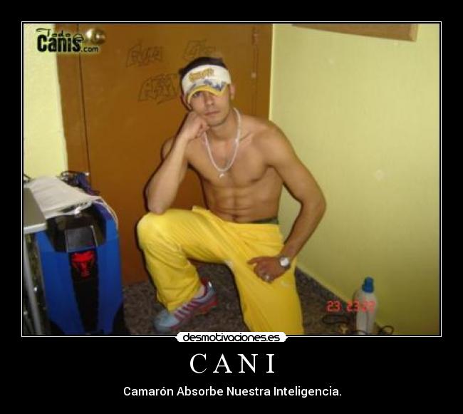 C A N I -