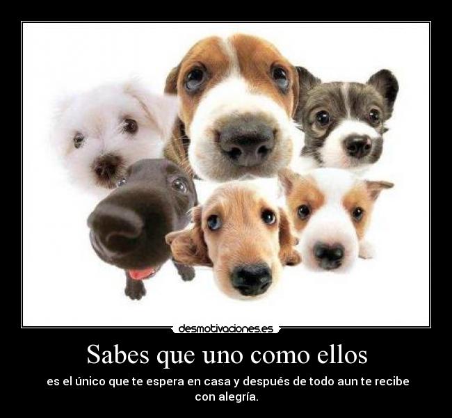 Sabes que uno como ellos - 