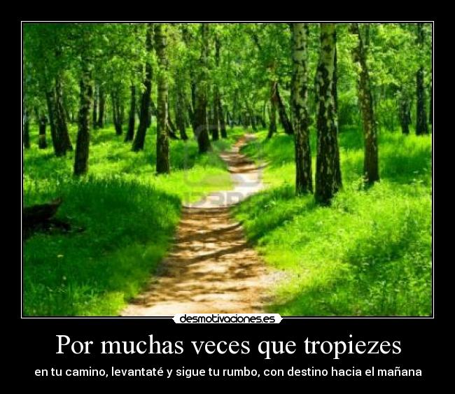 Por muchas veces que tropiezes - en tu camino, levantaté y sigue tu rumbo, con destino hacia el mañana