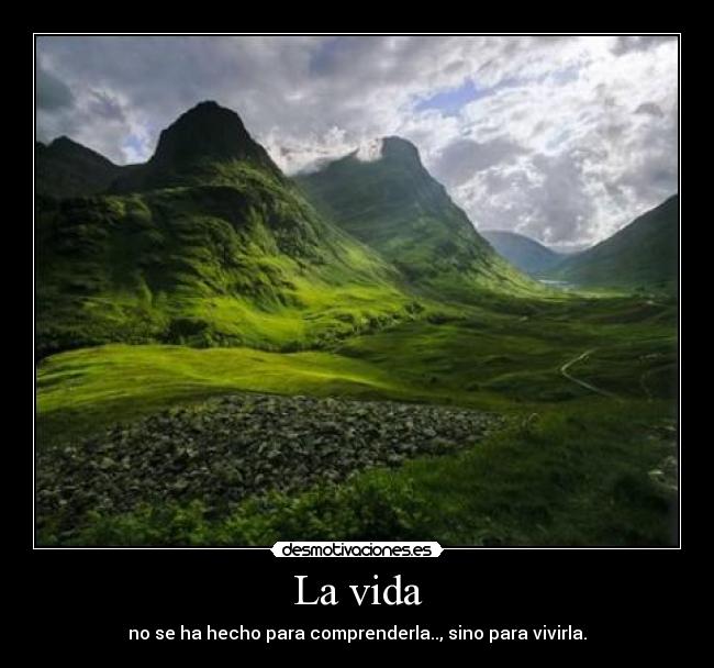 La vida - 