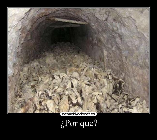 ¿Por que? - 