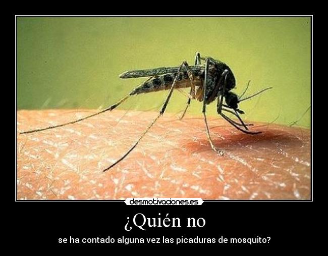 ¿Quién no - se ha contado alguna vez las picaduras de mosquito?