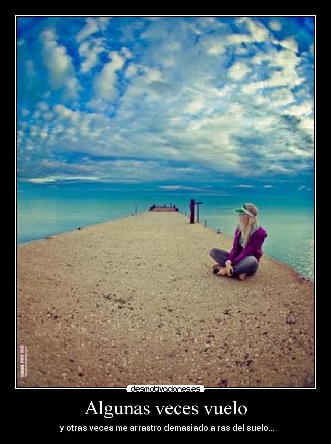 Algunas veces vuelo -