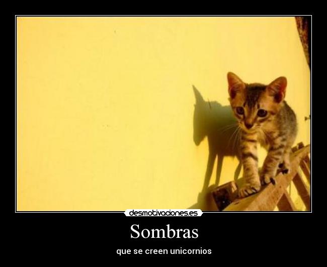 Sombras - 