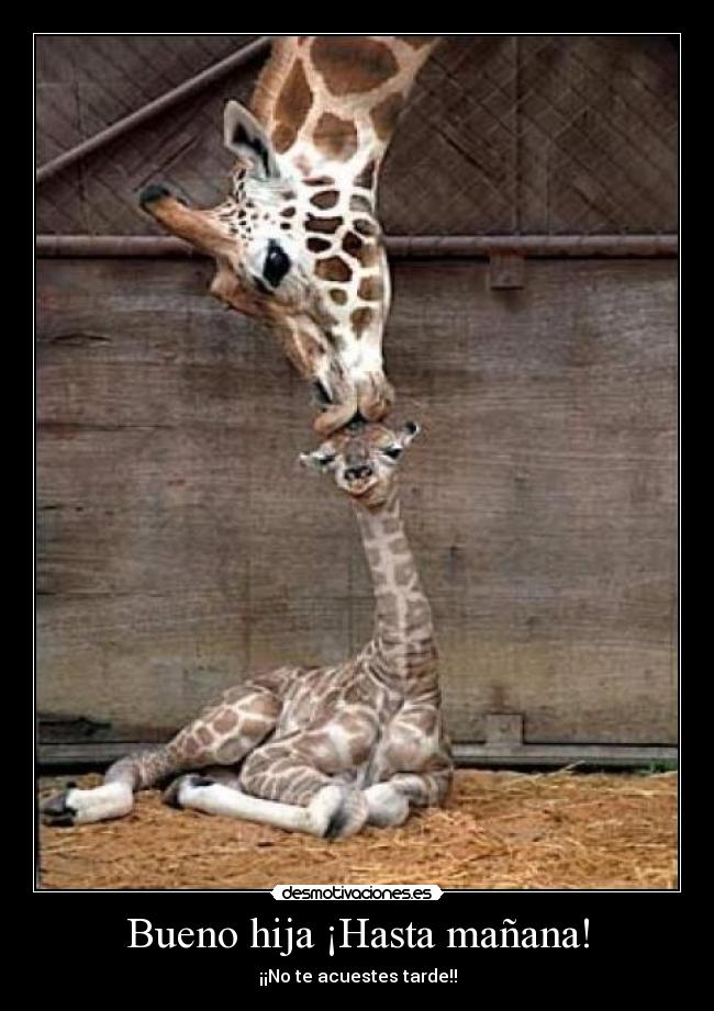 Bueno hija ¡Hasta mañana! -