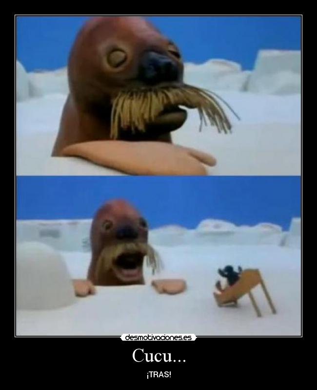 Cucu... - ¡TRAS!