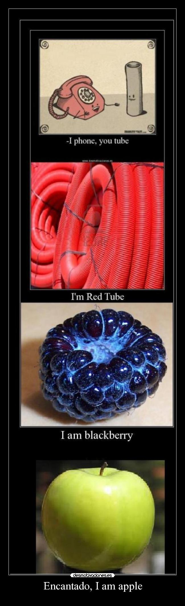 Encantado, I am apple - 