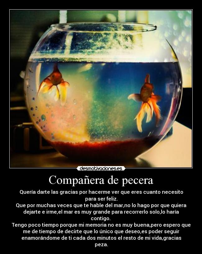 Compañera de pecera -