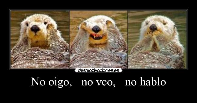 No oigo,   no veo,   no hablo - 